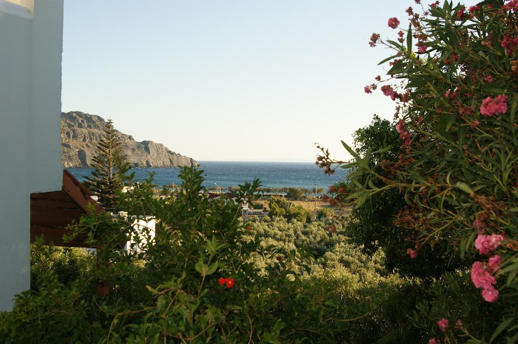 Lofos Hotel Plakias Exteriör bild